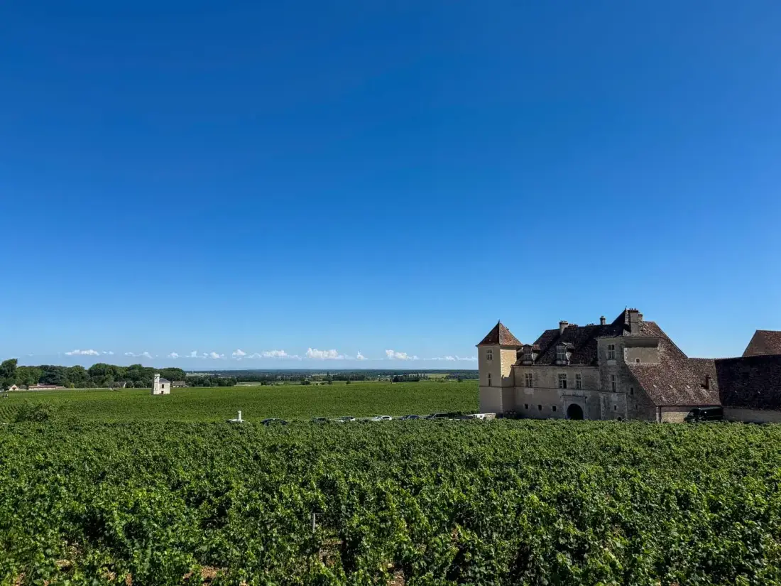 Burgundy vineyard and winery tour